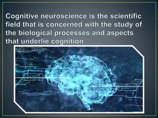 PPT - Introduction to Cognitive Science PowerPoint Presentation, free  download - ID:5122781