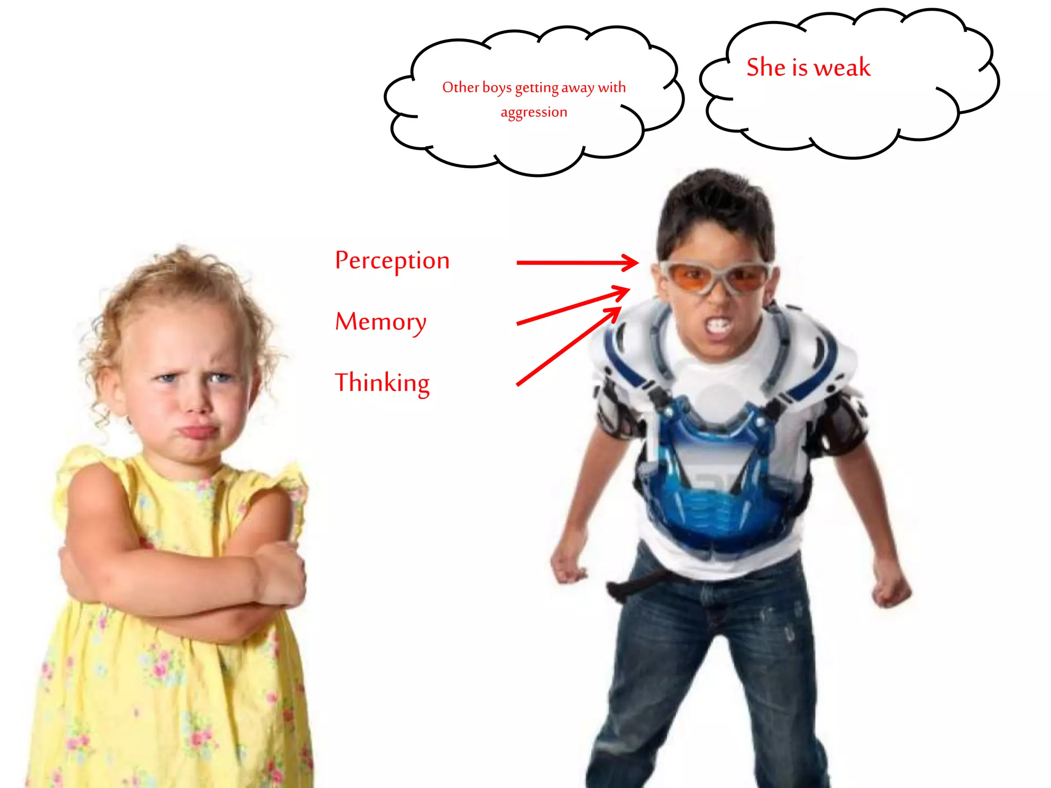 Sheis weakOtherboysgettingaway with
aggression
Perception
Memory
Thinking
 