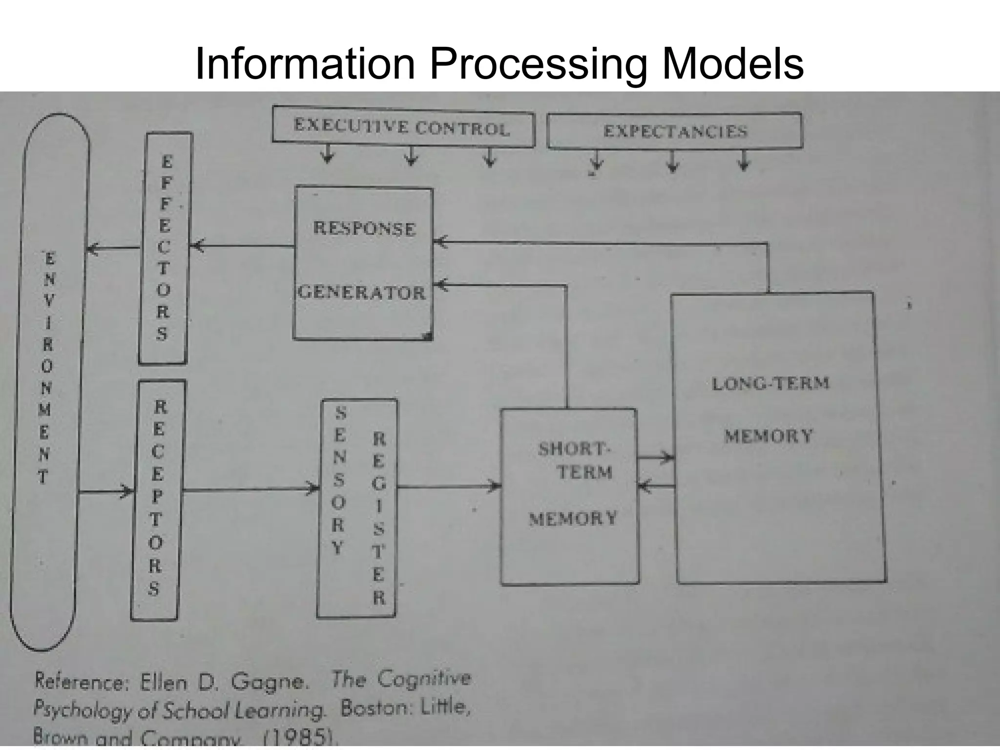 Information Processing Models
 