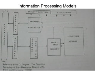 Information Processing Models
 