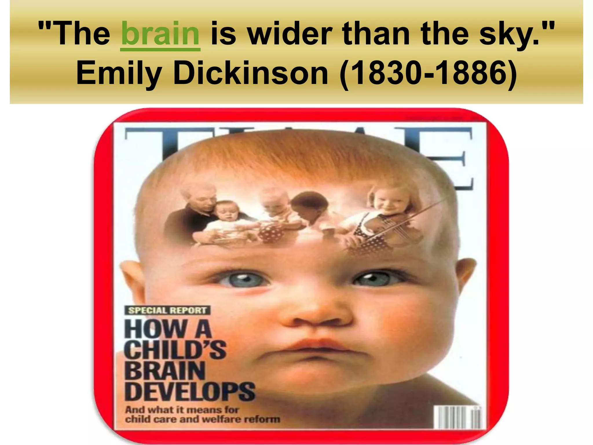 "The brain is wider than the sky."
Emily Dickinson (1830-1886)
 
