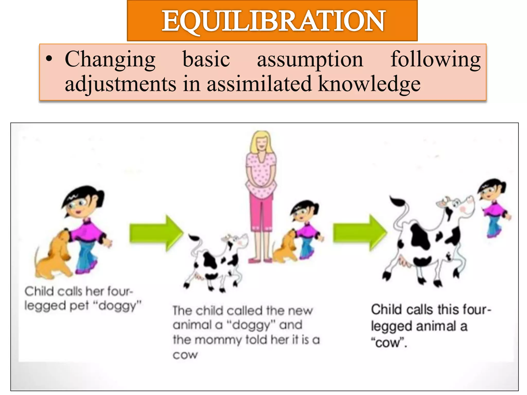 • Changing basic assumption following
adjustments in assimilated knowledge
 