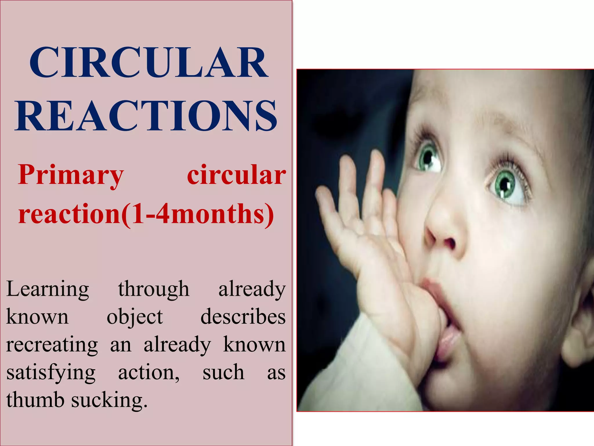CIRCULAR
REACTIONS
Primary circular
reaction(1-4months)
Learning through already
known object describes
recreating an already known
satisfying action, such as
thumb sucking.
 