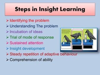 Cognitive theory Insight learning –Gestalt School