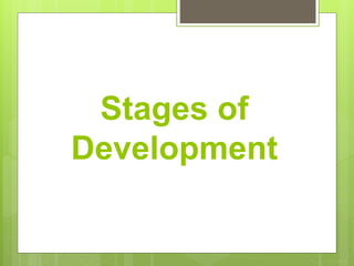 universal stages of cognitive development