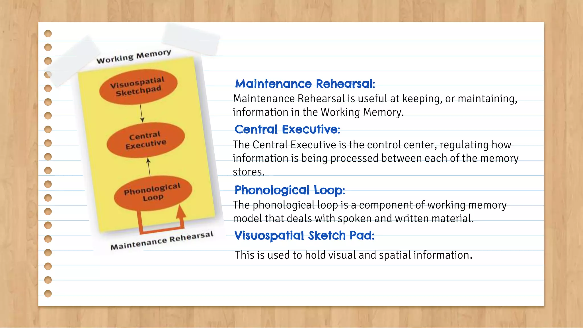 Maintenance Rehearsal is useful at keeping, or maintaining,
information in the Working Memory.
Central Executive:
This is used to hold visual and spatial information.
Maintenance Rehearsal:
Phonological Loop:
Visuospatial Sketch Pad:
The Central Executive is the control center, regulating how
information is being processed between each of the memory
stores.
The phonological loop is a component of working memory
model that deals with spoken and written material.
 
