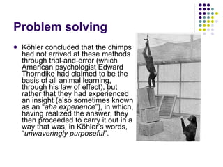 Problem solving Köhler concluded that the chimps had not arrived at these methods through trial-and-error (which American psychologist Edward Thorndike had claimed to be the basis of all animal learning, through his law of effect), but rather that they had experienced an insight (also sometimes known as an “ aha experience ”), in which, having realized the answer, they then proceeded to carry it out in a way that was, in Köhler’s words, “ unwaveringly purposeful ”. 