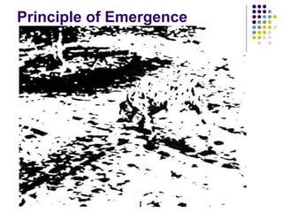 Principle of Emergence  