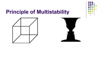 Principle of Multistability 