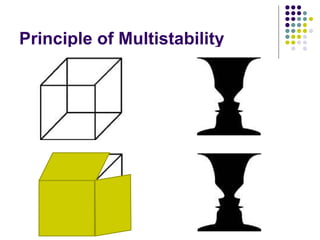 Principle of Multistability 