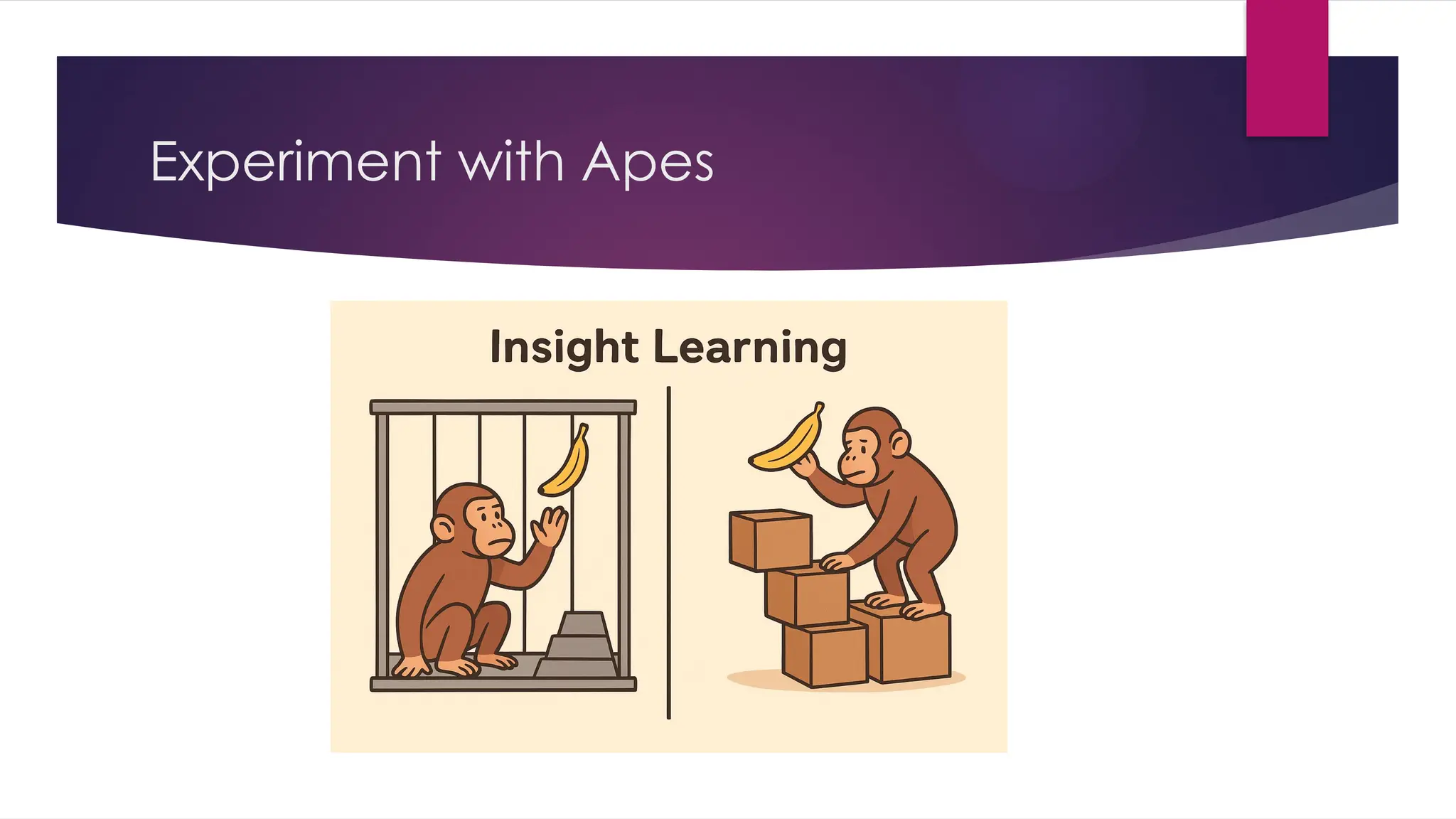 Experiment with Apes
 