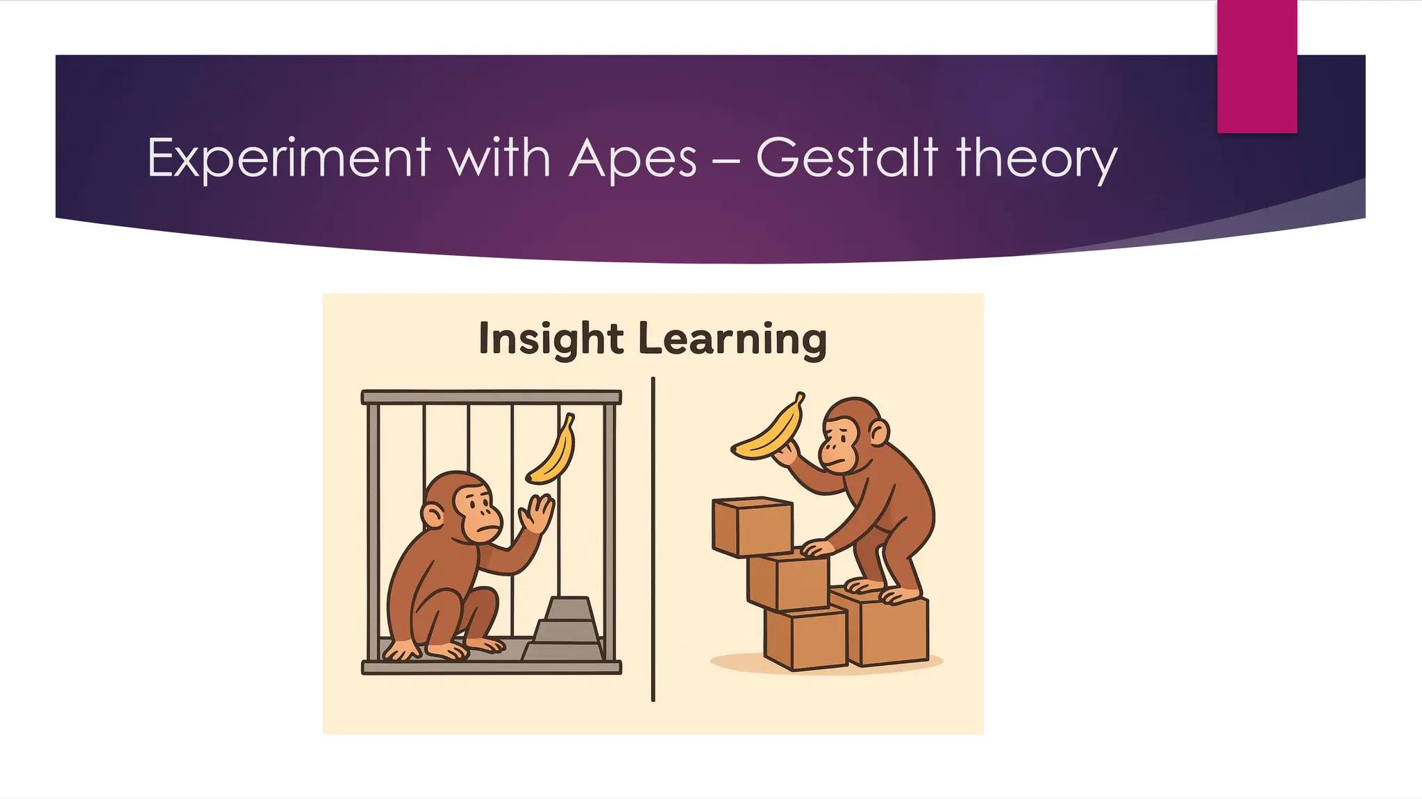 Experiment with Apes – Gestalt theory
 