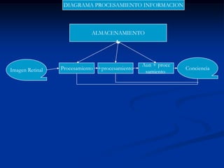 Psicologia cognitivaFocaliza: fenómenos procesos y teorias vinculadas con la adquisición y uso del conocimiento.La ciencia cognitiva considera estudio percepcion, razonamiento, lenguaje, memoria, aprendizaje,solucion de problemas, toma de decisiones