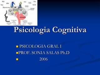Psicologia Cognitiva ,[object Object]