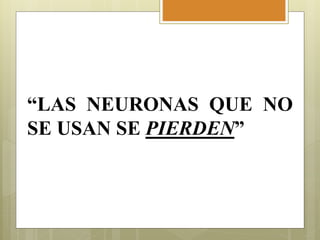 “LAS NEURONAS QUE NO
SE USAN SE PIERDEN”
 