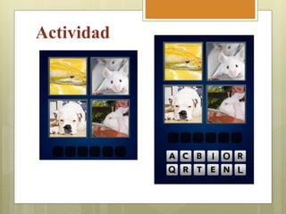 Actividad
 