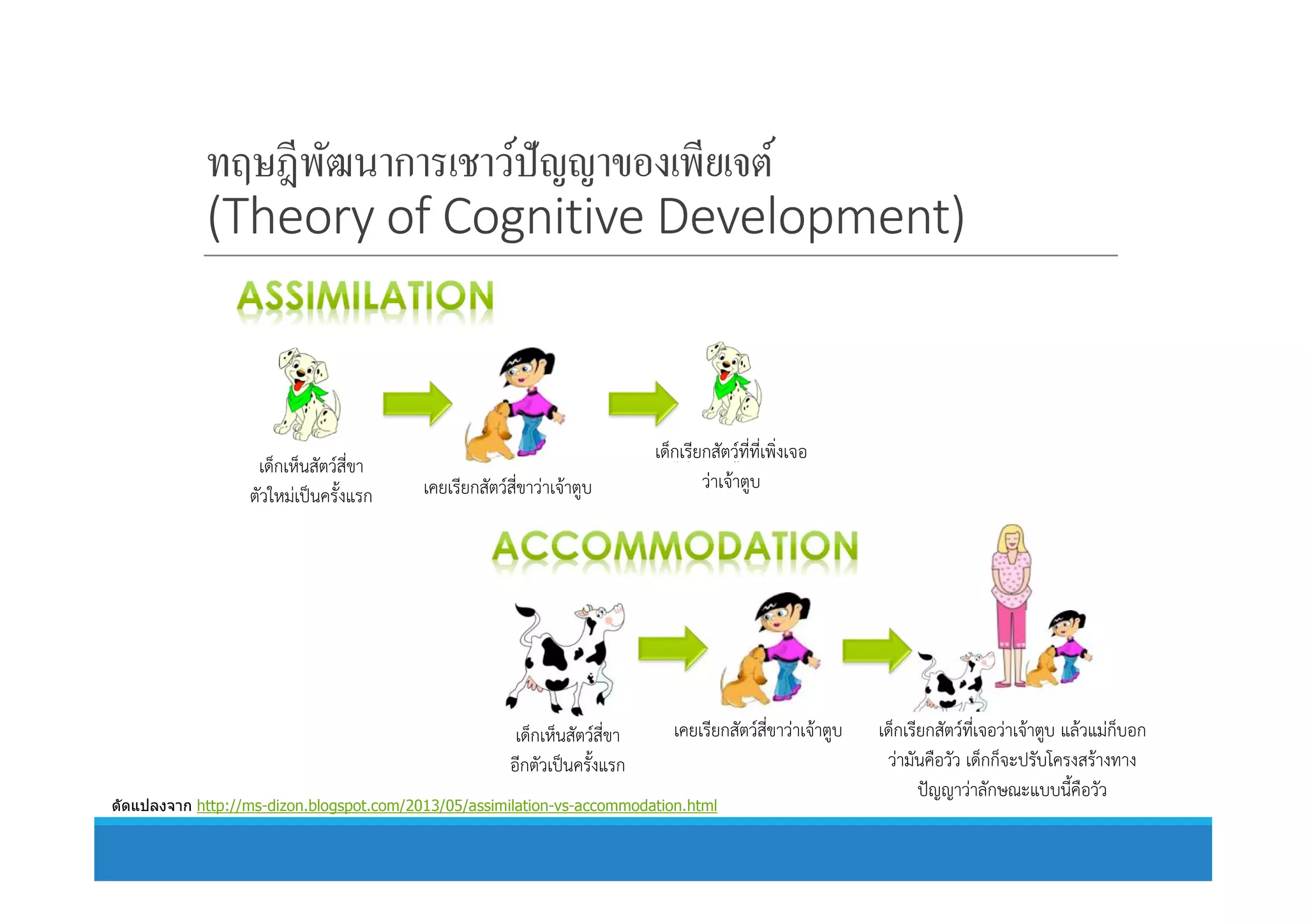 ทฤษฎีพัฒนาการเชาว์ปัญญาของเพียเจต์
(Theory of Cognitive Development)
เด็กเห็นสัตวสี่ขา
เด็กเรียกสัตวที่ที่เพิ่งเจอ
เด็กเห็นสัตวสี่ขา
ตัวใหมเปนครั้งแรก เคยเรียกสัตวสี่ขาวาเจาตูบ
เด็กเรียกสัตวที่ที่เพิ่งเจอ
วาเจาตูบ
เด็กเห็นสัตวสี่ขา
อีกตัวเปนครั้งแรก
เคยเรียกสัตวสี่ขาวาเจาตูบ เด็กเรียกสัตวที่เจอวาเจาตูบ แลวแมก็บอก
วามันคือวัว เด็กก็จะปรับโครงสรางทาง
ปญญาวาลักษณะแบบนี้คือวัว
ดัดแปลงจาก http://ms-dizon.blogspot.com/2013/05/assimilation-vs-accommodation.html
 