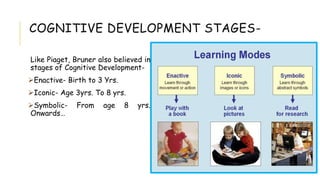 COGNITIVE DEVELOPMENT STAGES-
Like Piaget, Bruner also believed in
stages of Cognitive Development-
Enactive- Birth to 3 Yrs.
Iconic- Age 3yrs. To 8 yrs.
Symbolic- From age 8 yrs.
Onwards…
 