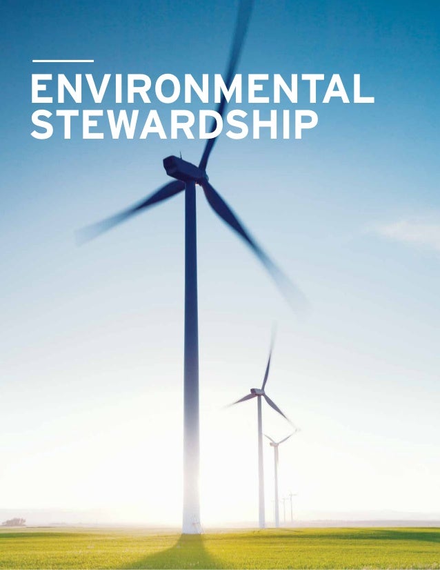 Cognizant Sustainability Report 2012