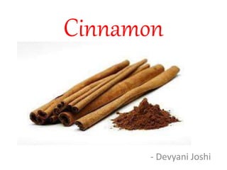 Cinnamon
- Devyani Joshi
 