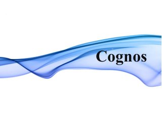 Cognos
 