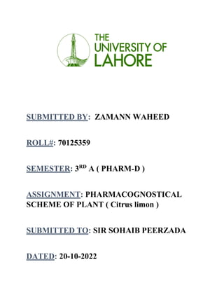 SUBMITTED BY: ZAMANN WAHEED
ROLL#: 70125359
SEMESTER: 3RD
A ( PHARM-D )
ASSIGNMENT: PHARMACOGNOSTICAL
SCHEME OF PLANT ( Citrus limon )
SUBMITTED TO: SIR SOHAIB PEERZADA
DATED: 20-10-2022
 