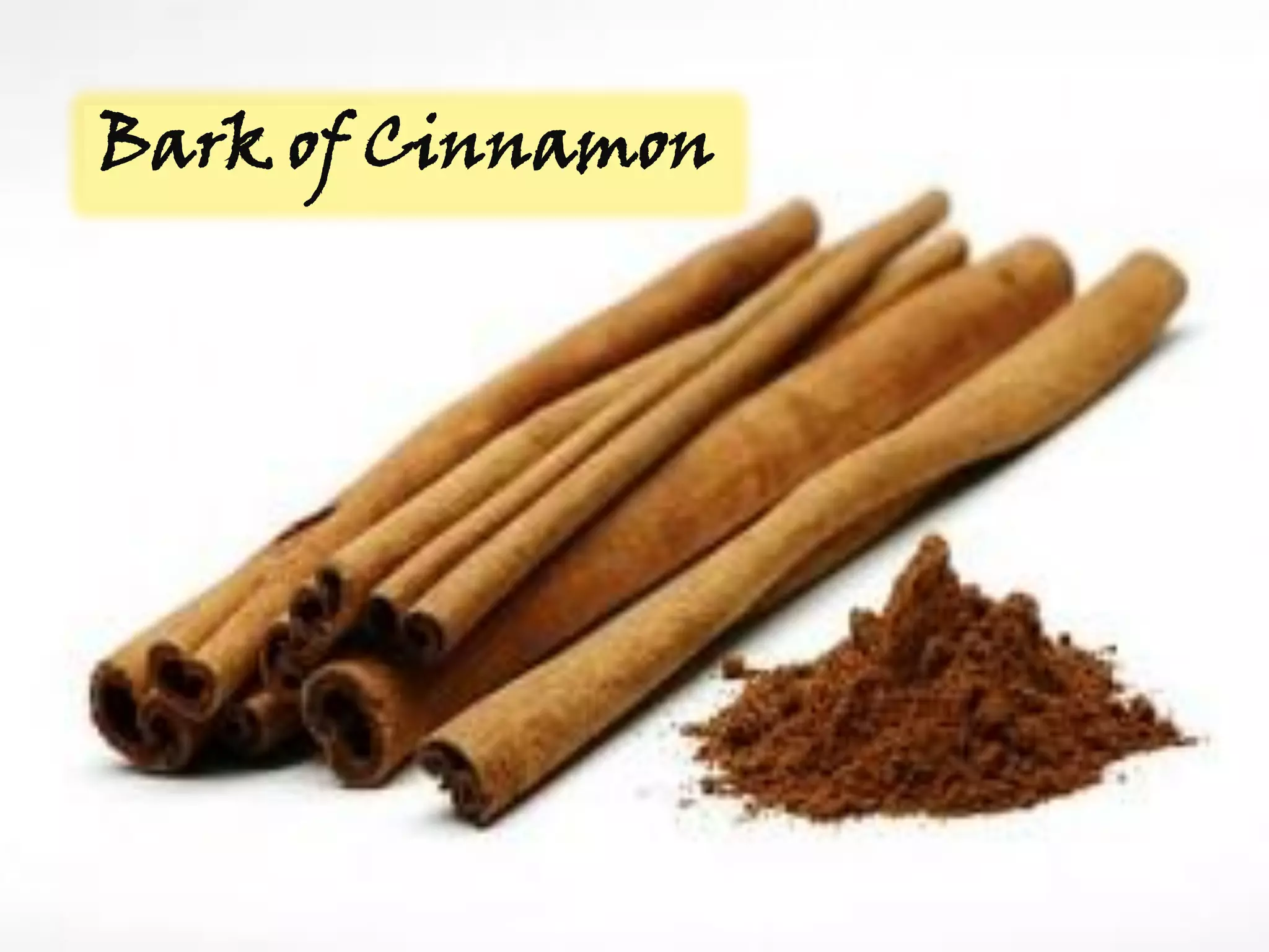 Bark of Cinnamon  