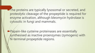The proteins are typically lysosomal or secreted, and
proteolytic cleavage of the propeptide is required for
enzyme activation, although bleomycin hydrolase is
cytosolic in fungi and mammals.
Papain-like cysteine proteinases are essentially
synthesised as inactive proenzymes (zymogens) with
N-terminal propeptide regions.
 