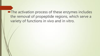 The activation process of these enzymes includes
the removal of propeptide regions, which serve a
variety of functions in vivo and in vitro.
 