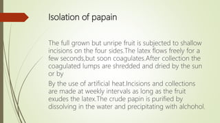Isolation of papain
The full grown but unripe fruit is subjected to shallow
incisions on the four sides.The latex flows freely for a
few seconds,but soon coagulates.After collection the
coagulated lumps are shredded and dried by the sun
or by
By the use of artificial heat.Incisions and collections
are made at weekly intervals as long as the fruit
exudes the latex.The crude papin is purified by
dissolving in the water and precipitating with alchohol.
 