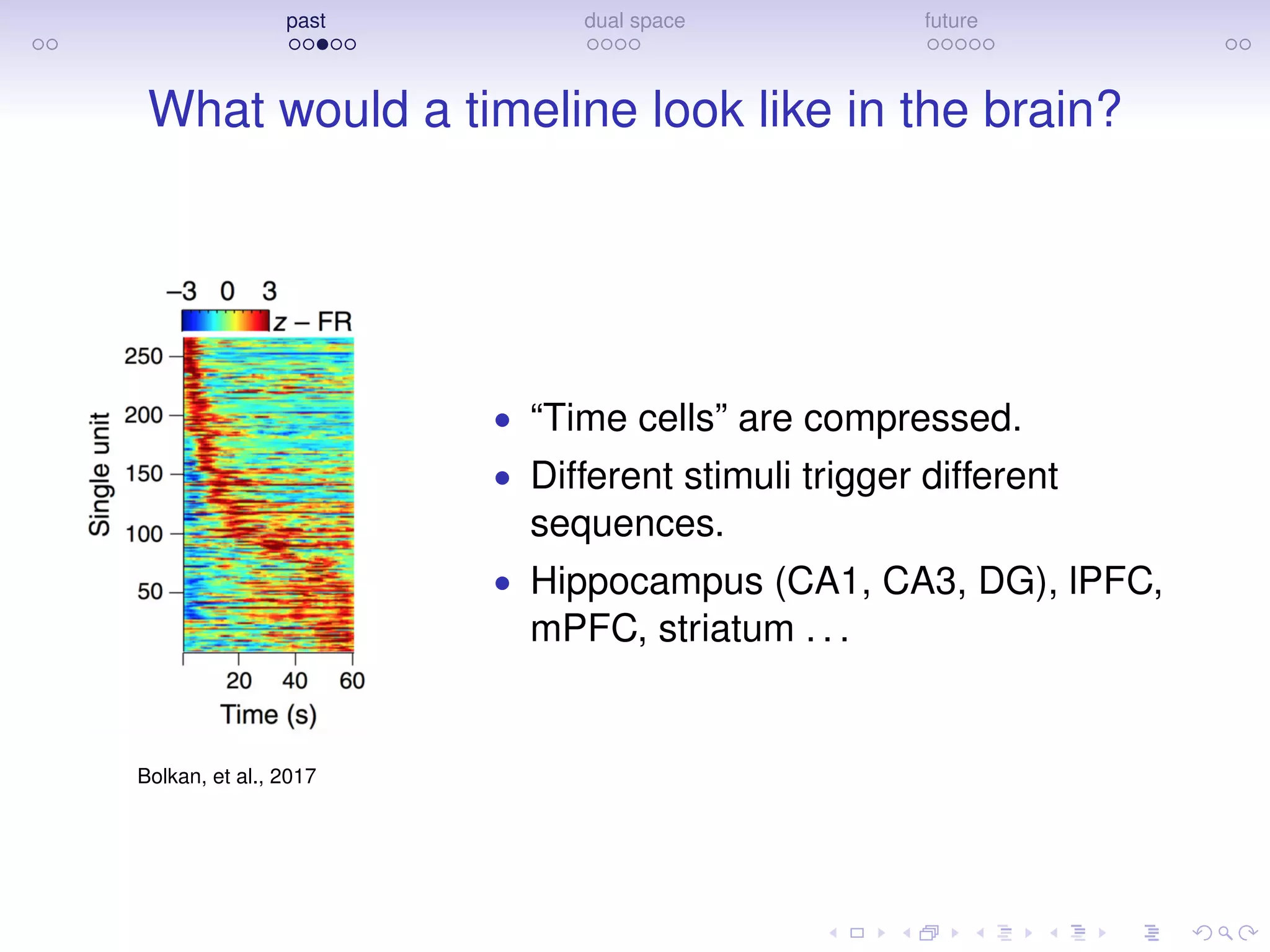 past dual space future
What would a timeline look like in the brain?
Bolkan, et al., 2017
• “Time cells” are compressed.
• Different stimuli trigger different
sequences.
• Hippocampus (CA1, CA3, DG), lPFC,
mPFC, striatum . . .
 