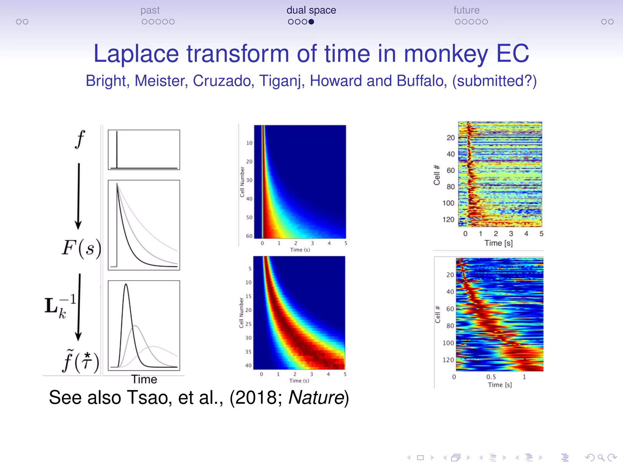 past dual space future
Laplace transform of time in monkey EC
Bright, Meister, Cruzado, Tiganj, Howard and Buffalo, (submitted?)
See also Tsao, et al., (2018; Nature)
 
