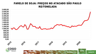 PÁGINA 33
ÍNDICE
NOVEMBRO 2020
0,00
200,00
400,00
600,00
800,00
1.000,00
1.200,00
1.400,00
1.600,00
1.800,00
2.000,00
2.200,00
2.400,00
2.600,00
2.800,00
FARELO DE SOJA: PREÇOS NO ATACADO SÃO PAULO
R$/TONELADA
 