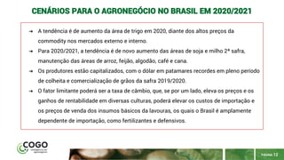 PÁGINA 12
CENÁRIOS PARA O AGRONEGÓCIO NO BRASIL EM 2020/2021
➔ A tendência é de aumento da área de trigo em 2020, diante dos altos preços da
commodity nos mercados externo e interno.
➔ Para 2020/2021, a tendência é de novo aumento das áreas de soja e milho 2ª safra,
manutenção das áreas de arroz, feijão, algodão, café e cana.
➔ Os produtores estão capitalizados, com o dólar em patamares recordes em pleno período
de colheita e comercialização de grãos da safra 2019/2020.
➔ O fator limitante poderá ser a taxa de câmbio, que, se por um lado, eleva os preços e os
ganhos de rentabilidade em diversas culturas, poderá elevar os custos de importação e
os preços de venda dos insumos básicos da lavouras, os quais o Brasil é amplamente
dependente de importação, como fertilizantes e defensivos.
 