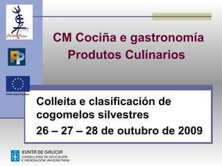 CM Cociña e gastronomía Produtos Culinarios   Colleita e clasificación de cogomelos silvestres 26 – 27 – 28 de outubro de 2009 