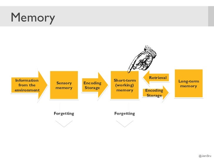 Sensory Interaction Psychology