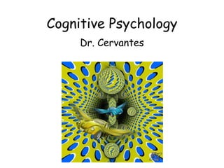Cognitive Psychology
Dr. Cervantes
 