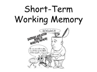 Short-Term
Working Memory
 