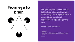 From eye to
brain
The eyes play a crucial role in vision
but the brain is involved in actively
constructing a visual representation of
the world that is not literal
reproduction of light falling on the
eyes.
Sensation Vs Perception
Source:
https://en.wikipedia.org/wiki/Illusory_cont
ours
 