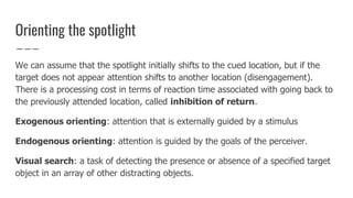 Orienting the spotlight
We can assume that the spotlight initially shifts to the cued location, but if the
target does not appear attention shifts to another location (disengagement).
There is a processing cost in terms of reaction time associated with going back to
the previously attended location, called inhibition of return.
Exogenous orienting: attention that is externally guided by a stimulus
Endogenous orienting: attention is guided by the goals of the perceiver.
Visual search: a task of detecting the presence or absence of a specified target
object in an array of other distracting objects.
 