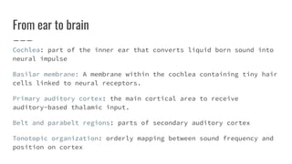 From ear to brain
Cochlea: part of the inner ear that converts liquid born sound into
neural impulse
Basilar membrane: A membrane within the cochlea containing tiny hair
cells linked to neural receptors.
Primary auditory cortex: the main cortical area to receive
auditory-based thalamic input.
Belt and parabelt regions: parts of secondary auditory cortex
Tonotopic organization: orderly mapping between sound frequency and
position on cortex
 