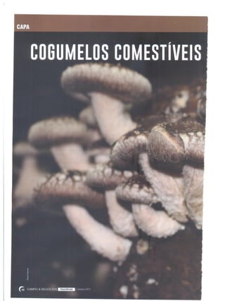 Cogumelos Comestíveis: O novo sabor da culinária brasileira