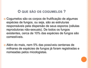 O QUE SÃO OS COGUMELOS ?
 Cogumelos são os corpos de frutificação de algumas
espécies de fungos, ou seja, são as estruturas
responsáveis pela dispersão de seus esporos (células
reprodutoras não-sexuais). De todos os fungos
existentes, cerca de 10% das espécies de fungos são
comestíveis.
 Além do mais, nem 5% das possíveis centenas de
milhares de espécies de fungos já foram registradas e
nomeadas pelos micologistas.
 