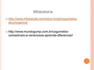 WEBGRAFIA
 http://www.infoescola.com/reino-fungi/cogumelos-
alucinogenos/
 http://www.mundogump.com.br/cogumelos-
comestiveis-e-venenosos-aprenda-diferenciar/
 