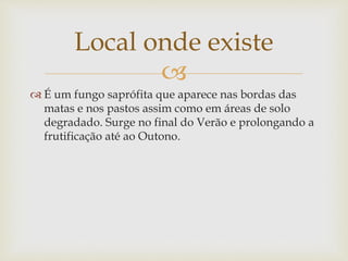 
 É um fungo saprófita que aparece nas bordas das
matas e nos pastos assim como em áreas de solo
degradado. Surge no final do Verão e prolongando a
frutificação até ao Outono.
Local onde existe
 