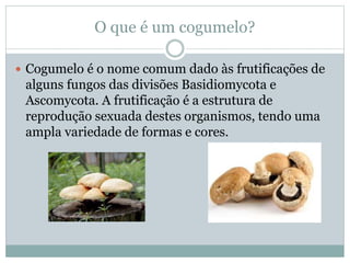 O que é um cogumelo?
Cogumelo é o nome comum dado às frutificações de
alguns fungos das divisões Basidiomycota e
Ascomycota. A frutificação é a estrutura de
reprodução sexuada destes organismos, tendo uma
ampla variedade de formas e cores.