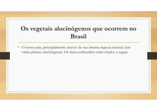 Os vegetais alucinógenos que ocorrem no
Brasil
• O nosso país, principalmente através de sua imensa riqueza natural, tem
várias plantas alucinógenas. Os mais conhecidos estão citados a seguir.
 