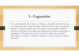 1 - Cogumelos
• O uso de cogumelos ficou famoso no México, onde desde antes de Cristo já
era usado pelos nativos daquela região. Ainda hoje, sabe-se que o "cogumelo
sagrado" é usado por alguns pajés. Ele recebe o nome científico Psilocybe
mexicana e dele pode ser extraído uma substância de poderosa alucinógena: a
psilocibina. No Brasil ocorrem pelo menos duas espécies de cogumelos
alucinógenos, em deles é o Psilocybe cubensis e o outro é espécie do gênero
Paneoulus.
 