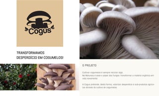 TRANSFORMAMOS
DESPERDÍCIO EM COGUMELOS!
O PROJETO
Cultivar cogumelos é sempre reciclar algo.
Na Natureza é esse o papel dos fungos: transformar a matéria orgânica em
vida novamente
A Cogus pretende, desta forma, valorizar desperdício e sub-produtos agríco-
las através do cultivo de cogumelos.
 