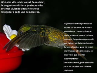 ¿Cuántas vidas vivimos ya? En realidad, la pregunta es distinta: ¿cuántas vidas estamos viviendo ahora? Nos toca responder a cada uno de nosotros. ¿Cuántas vidas vivimos ya? En realidad, la pregunta es distinta: ¿cuántas vidas estamos viviendo ahora? Nos toca responder a cada uno de nosotros. Viajamos en el tiempo todas las noches. Lo hacemos de manera inconsciente, cuando soñamos: vamos a nuestro pasado reciente o remoto. Despertamos pensando que vivimos verdaderos absurdos durante el sueño;  pero no es así. Estuvimos en otra dimensión, en otras vidas que estamos experimentando simultáneamente, pero donde las cosas no suceden exactamente como aquí. 